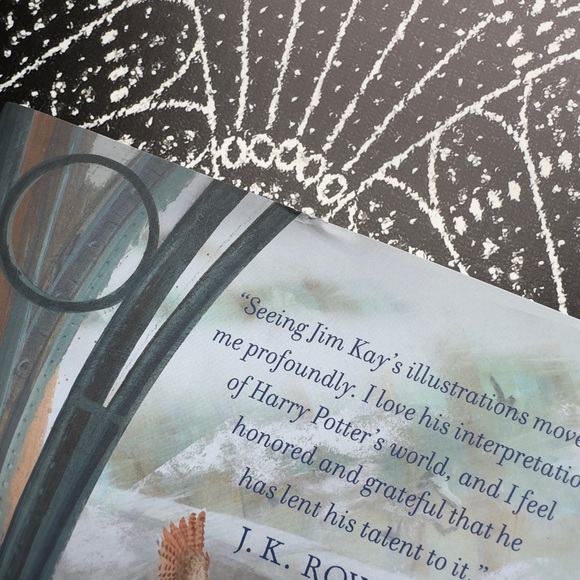 Harry Potter And The Sorcerer's Stone Illustrated Book - Picture 7 of 7